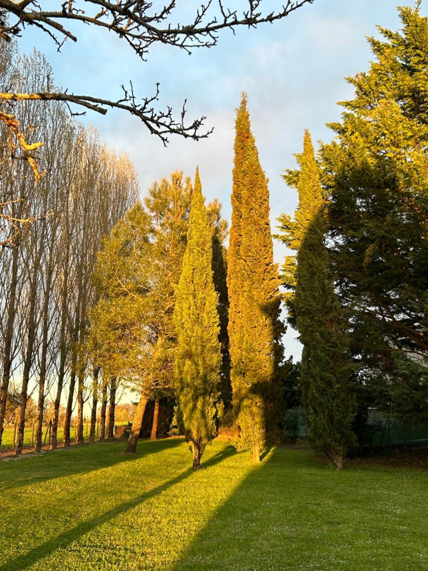 Domaine De La Gemoliere Bed & Breakfast Gémozac Exterior foto